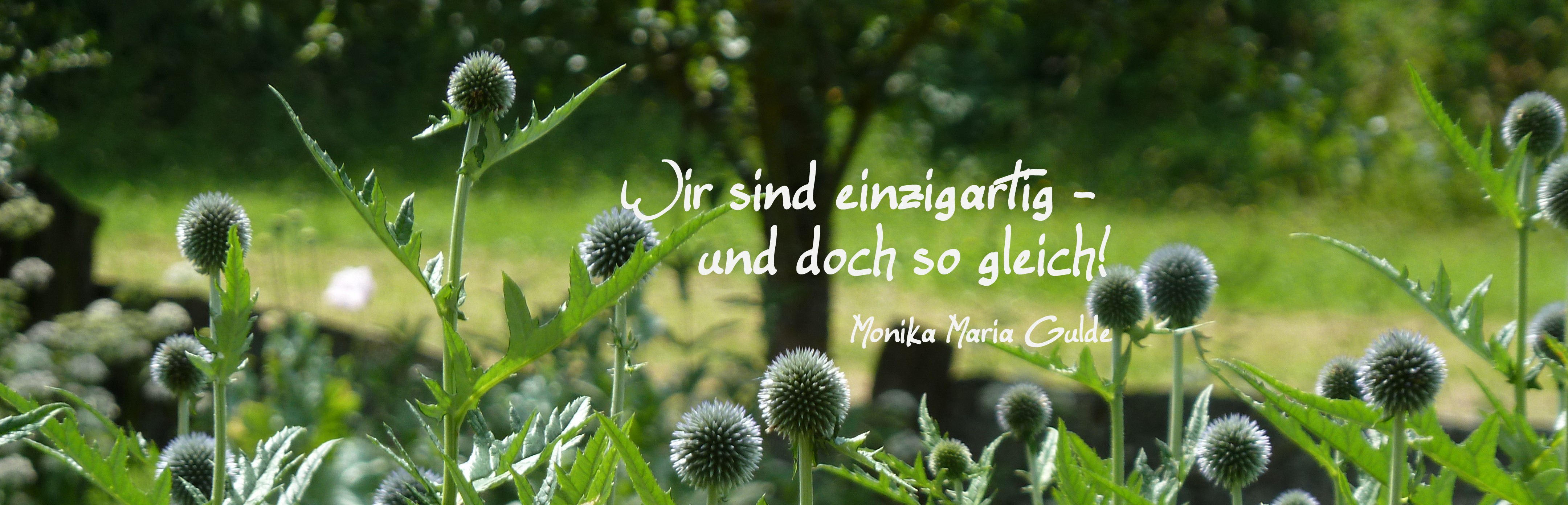 Einzigartig - Gleich