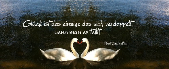 Schwan gespiegelt farbe